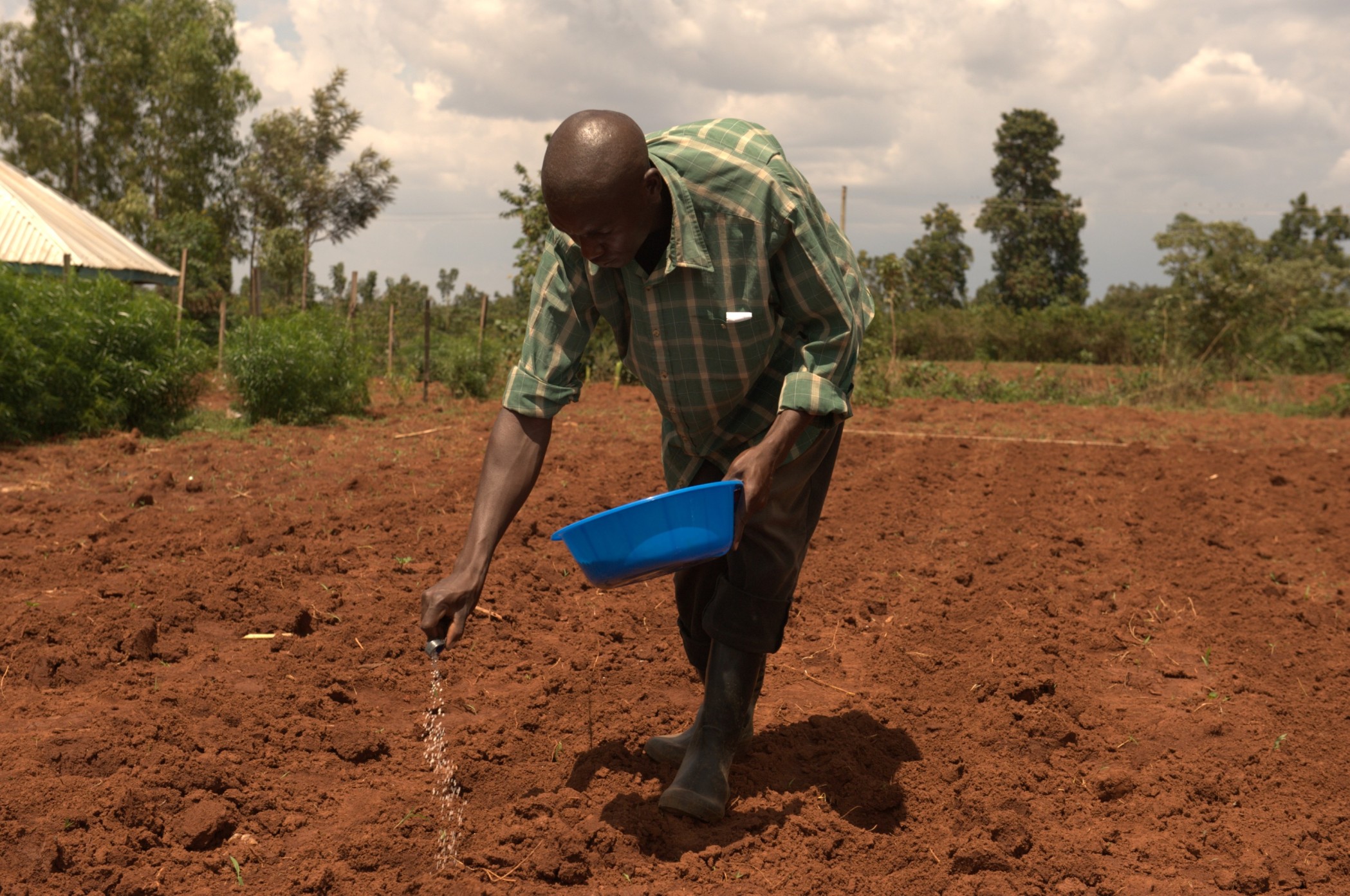 Learn To Apply Fertilizer At The Right Time